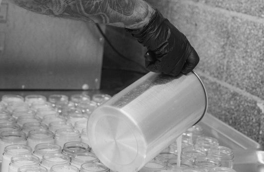 Is Your Conditioner Coating or Nourishing? Plant Oils vs. Silicones